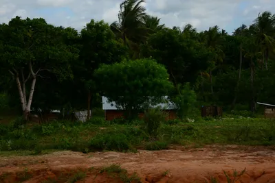 DSC_8072 (Large).JPG